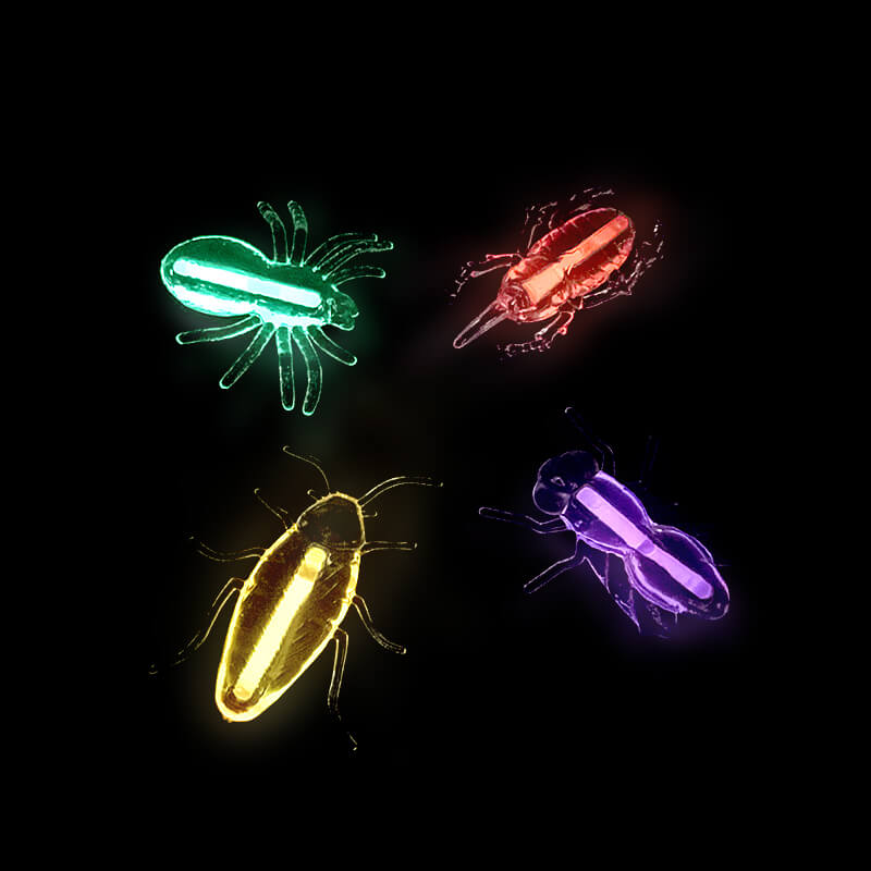 côn trùng dạ quang phát sáng glow critters
